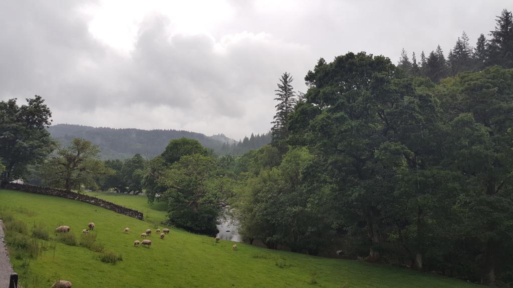 Bod Gwynedd Bed And Breakfast Betws-y-Coed Exterior photo